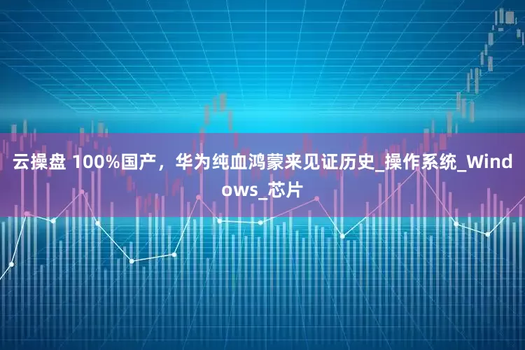 云操盘 100%国产，华为纯血鸿蒙来见证历史_操作系统_Windows_芯片