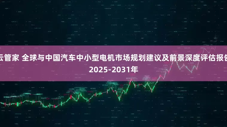 云管家 全球与中国汽车中小型电机市场规划建议及前景深度评估报告2025-2031年