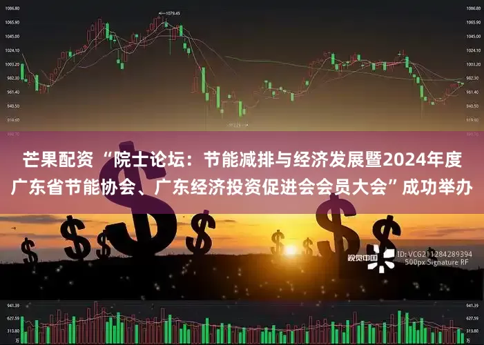 芒果配资 “院士论坛：节能减排与经济发展暨2024年度广东省节能协会、广东经济投资促进会会员大会”成功举办