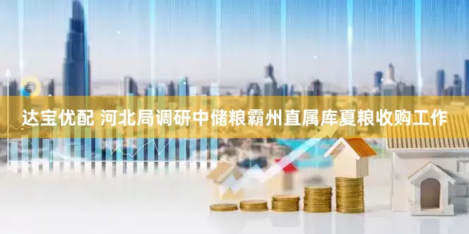 达宝优配 河北局调研中储粮霸州直属库夏粮收购工作