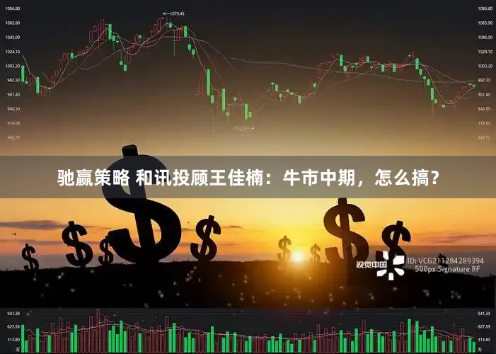 驰赢策略 和讯投顾王佳楠：牛市中期，怎么搞？