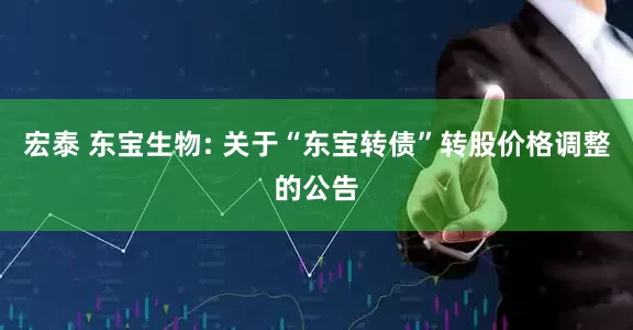 宏泰 东宝生物: 关于“东宝转债”转股价格调整的公告