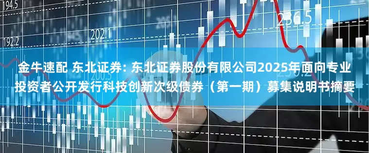 金牛速配 东北证券: 东北证券股份有限公司2025年面向专业投资者公开发行科技创新次级债券（第一期）募集说明书摘要